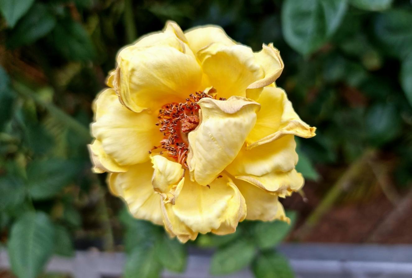 Server infrastructure and networking equipment supporting educational platform