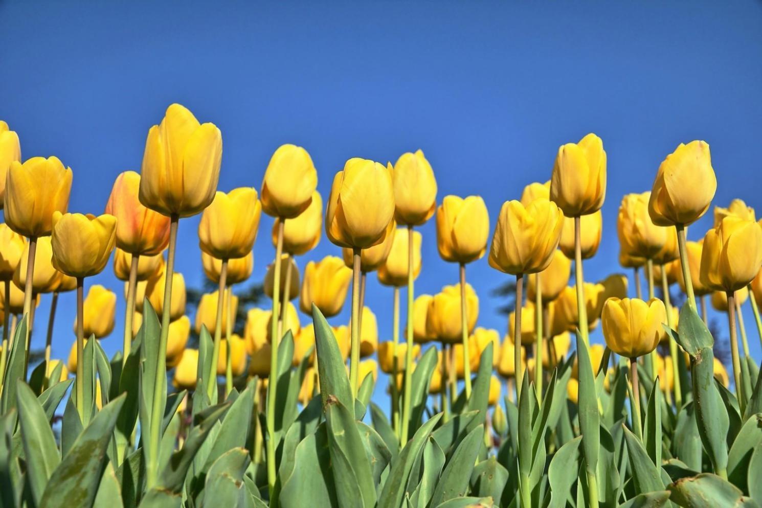 Instructor reviewing code with student during one-on-one mentorship session