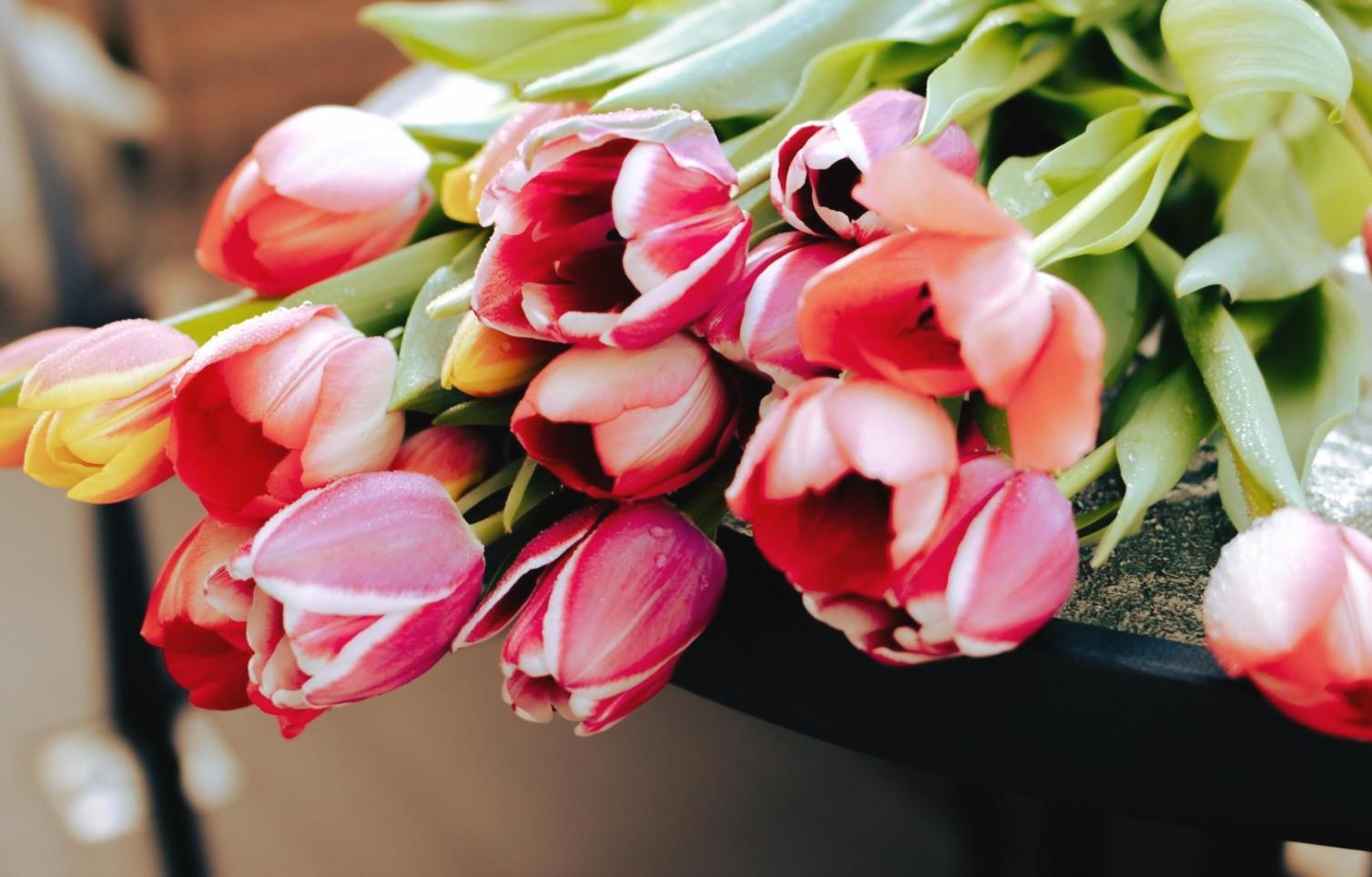 Game development workspace showing practical learning environment