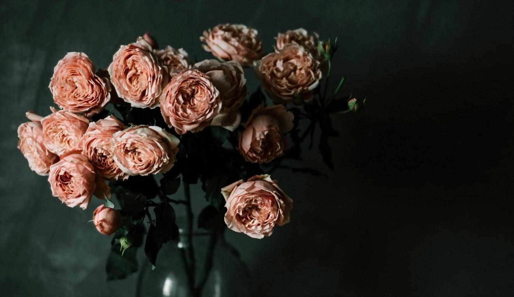 Students working on game development projects in our training facility